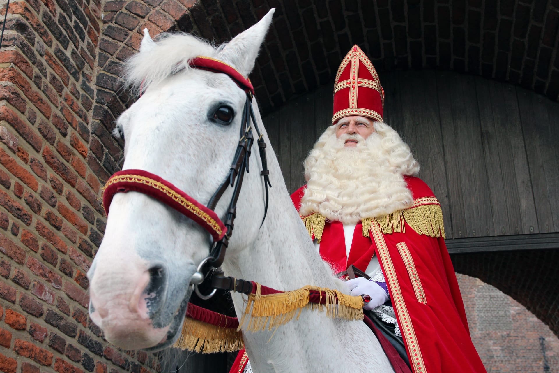 Sinterklaas op Amerigo — Het Gouden Hoefijzer (2017)